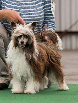 Kawusia z Mlekiem Roingold