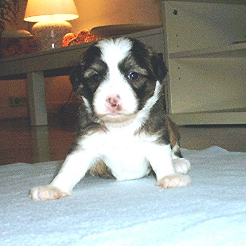 Rimabra's Minnie Mouse