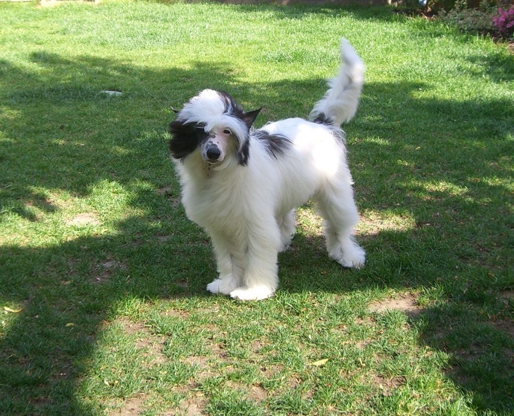 Buddie Caramella's Family