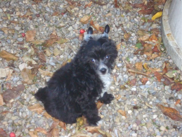 Special Edition Fantasy Island