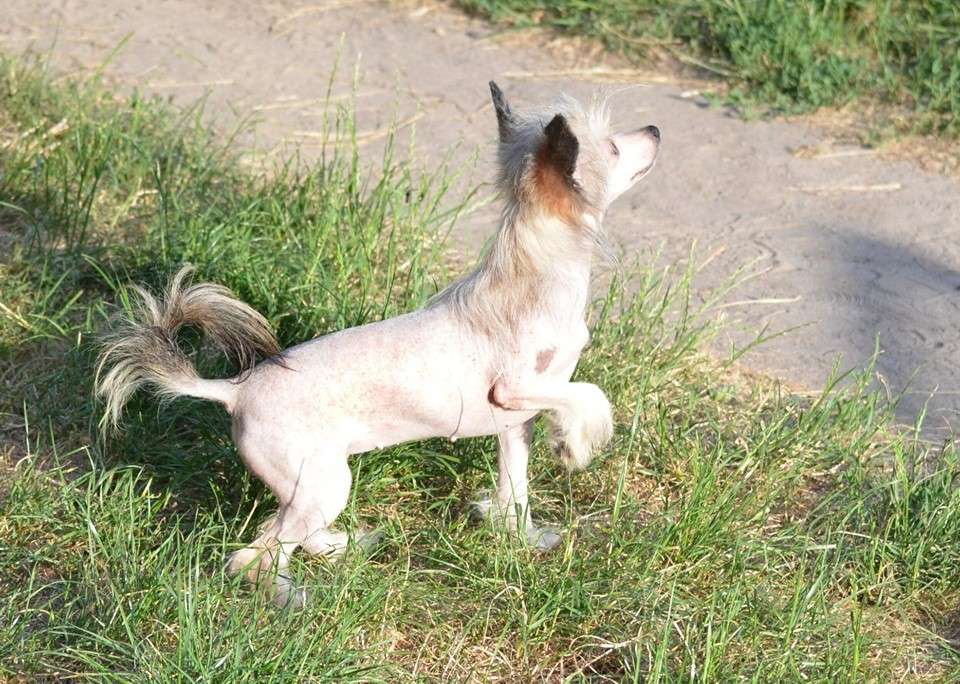 Magic of Success Extravaganza