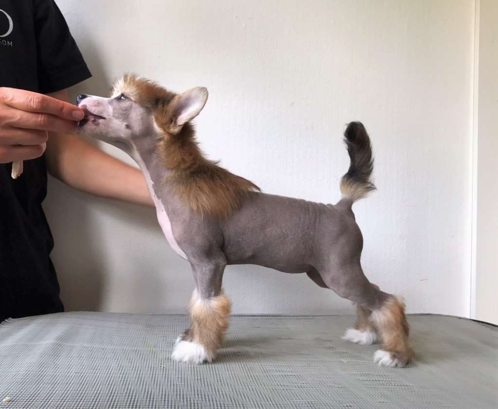 Sirocco Nvr Give Nor Take An Excuse