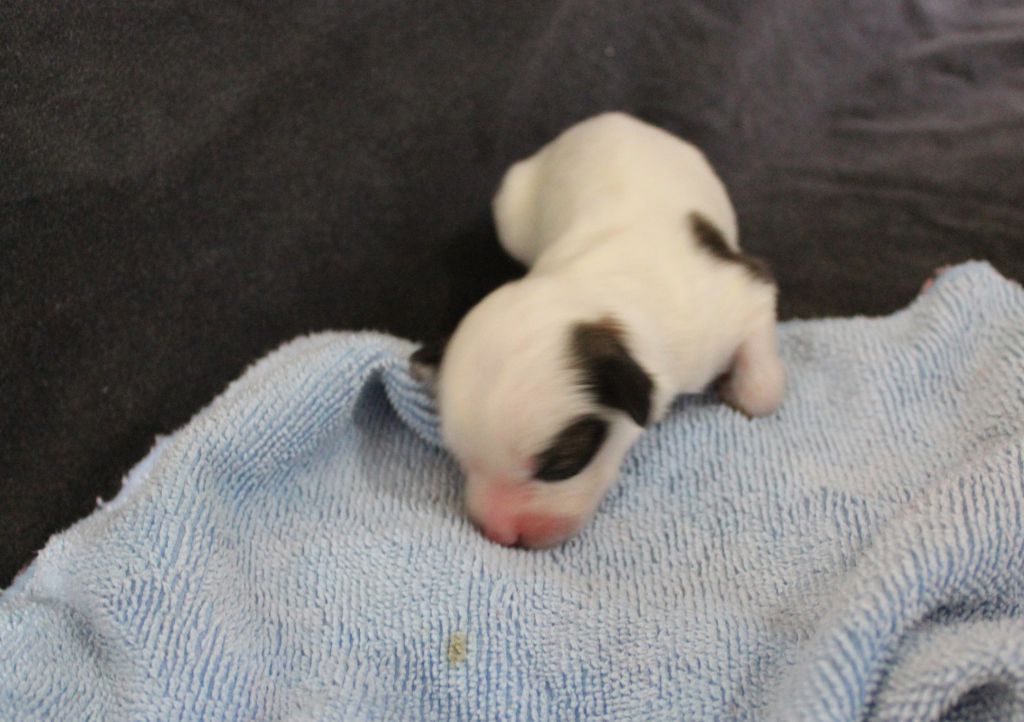 Eashik Edward At Mirrage