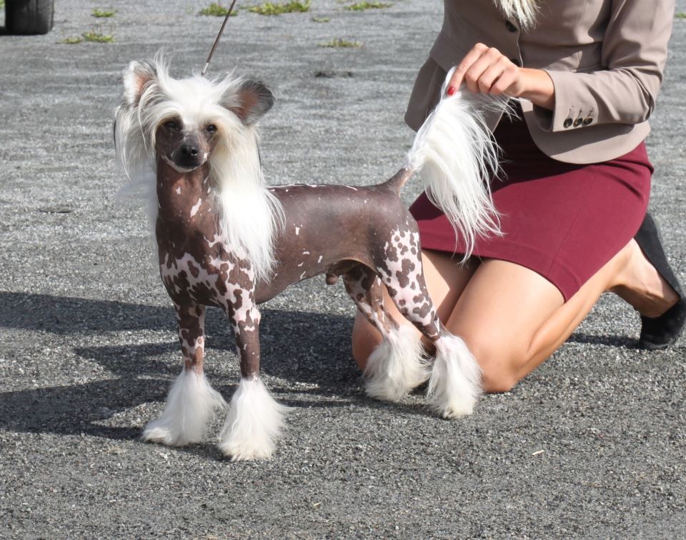 Sun-Hee's Rose N-Joy