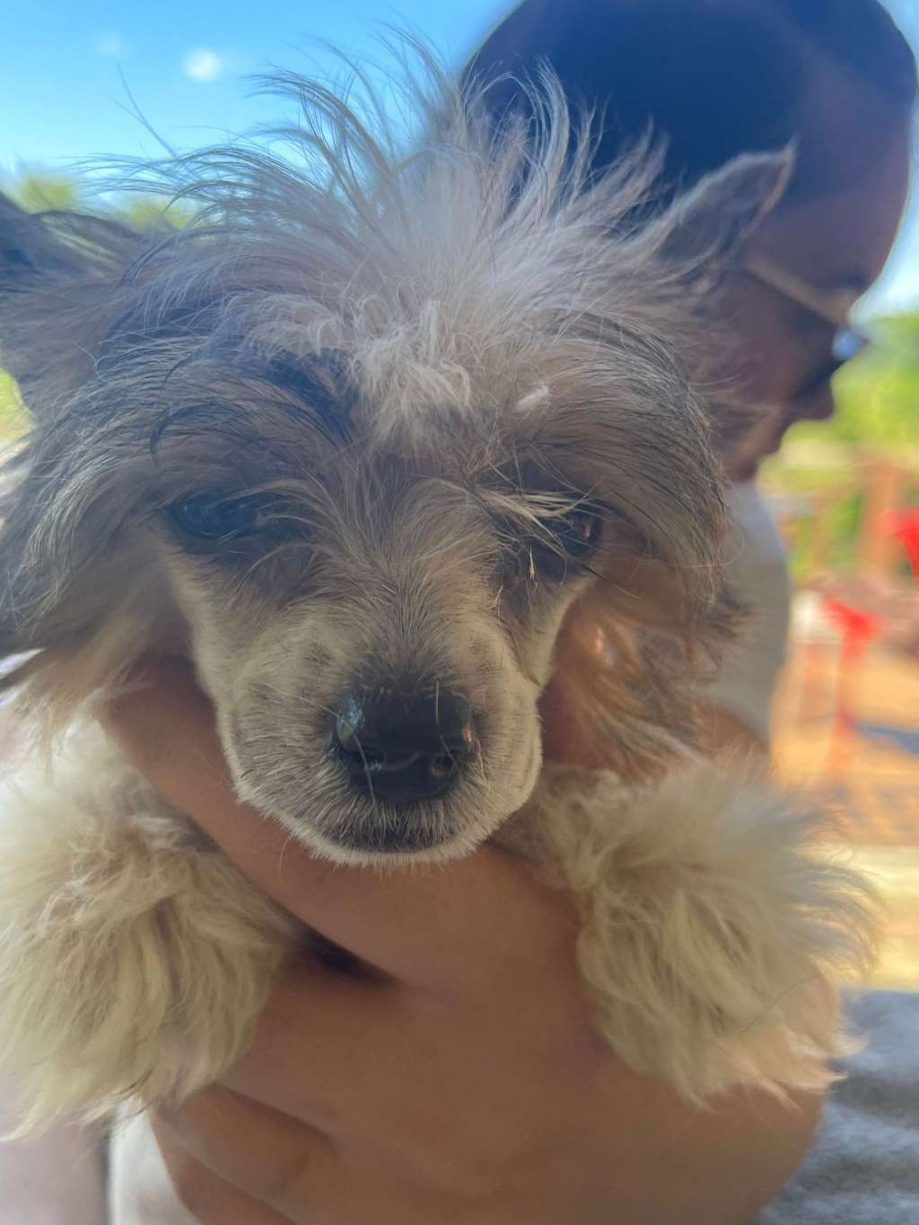 EverCrest's Don't Get Blown Away