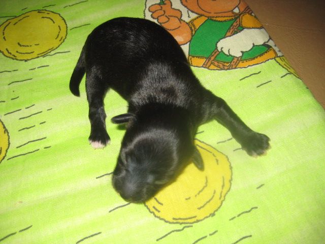 Napoli Armonia di Colori