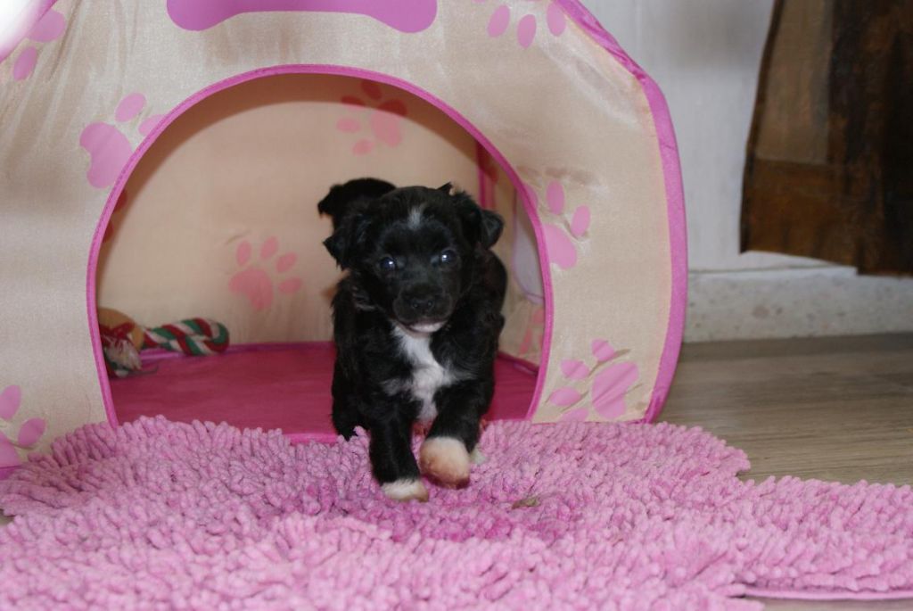 Mana's Secret's  Dirty Harry