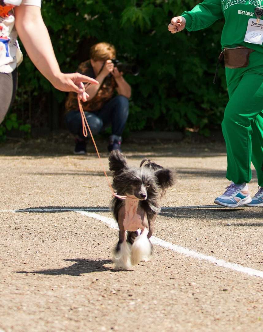 Ketrin Kristol Tornado