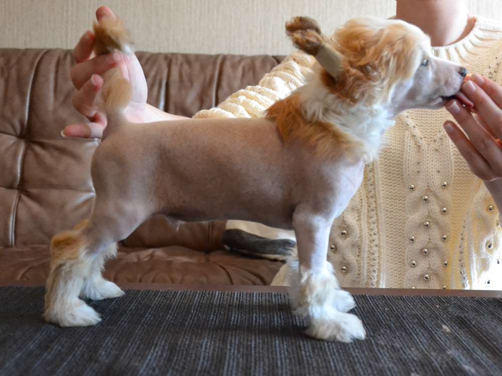 Myrtans Best Or Nothing