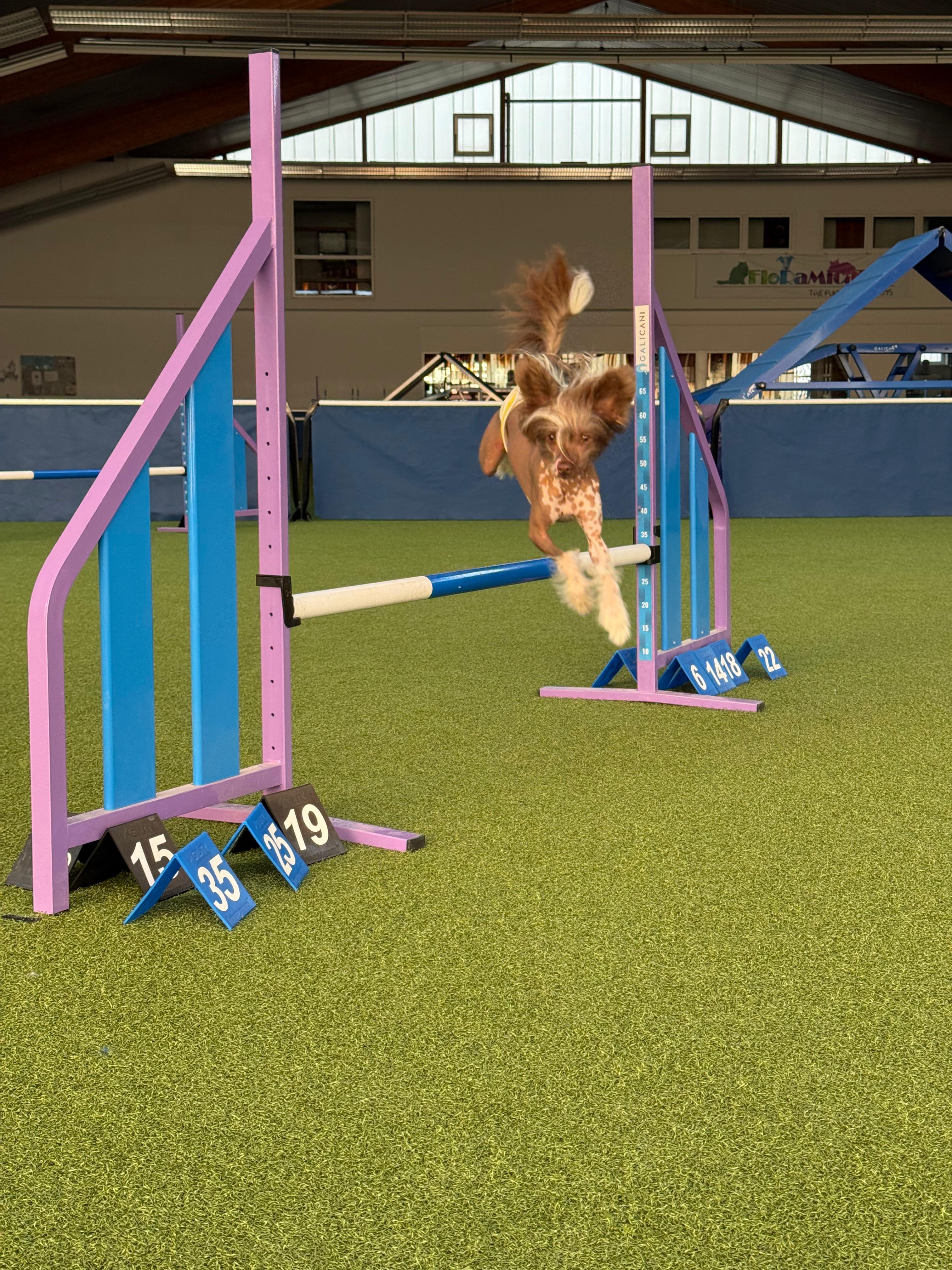 Saraasar Jaadoo Arcade Fire