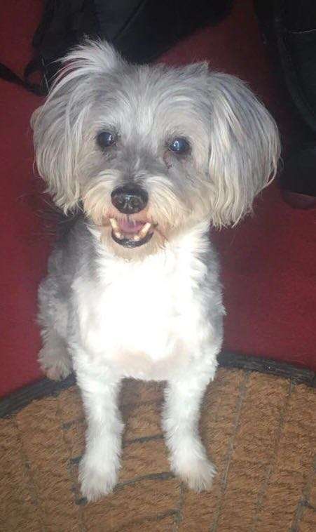 Mystical Prince Eclipse