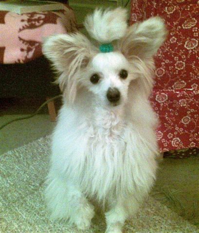 Joyway's Xtraordinary