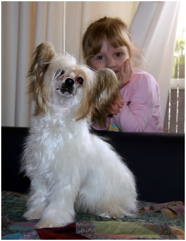 Irgen Gold Lady Gaga