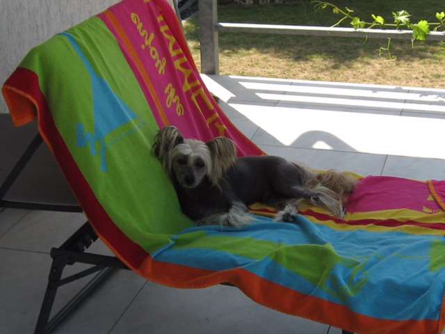 Felici Amici Bambino