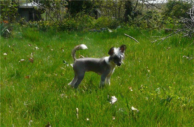 Subway French Christmas Souvenir 