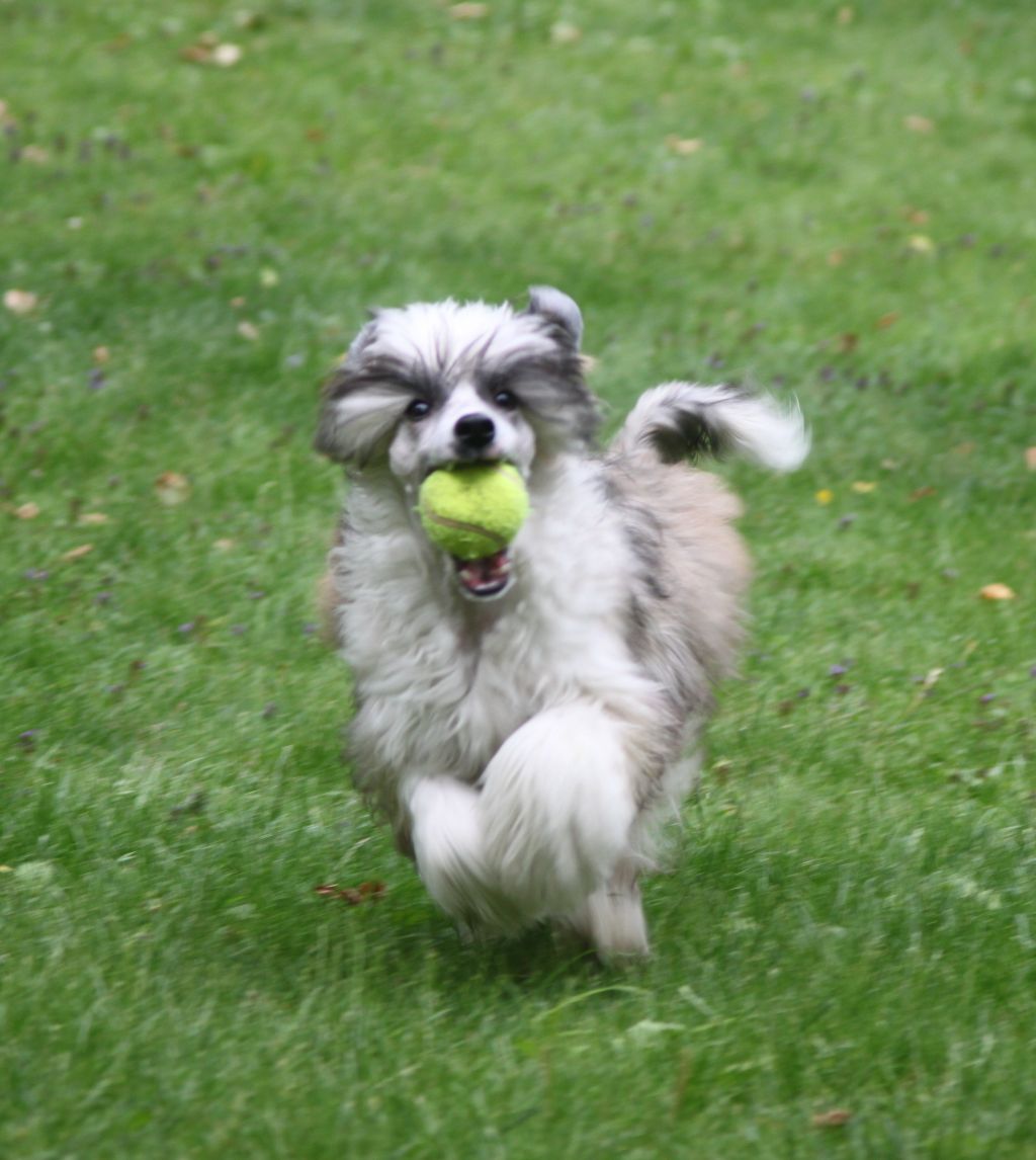 Bed-ma's All or Nothing