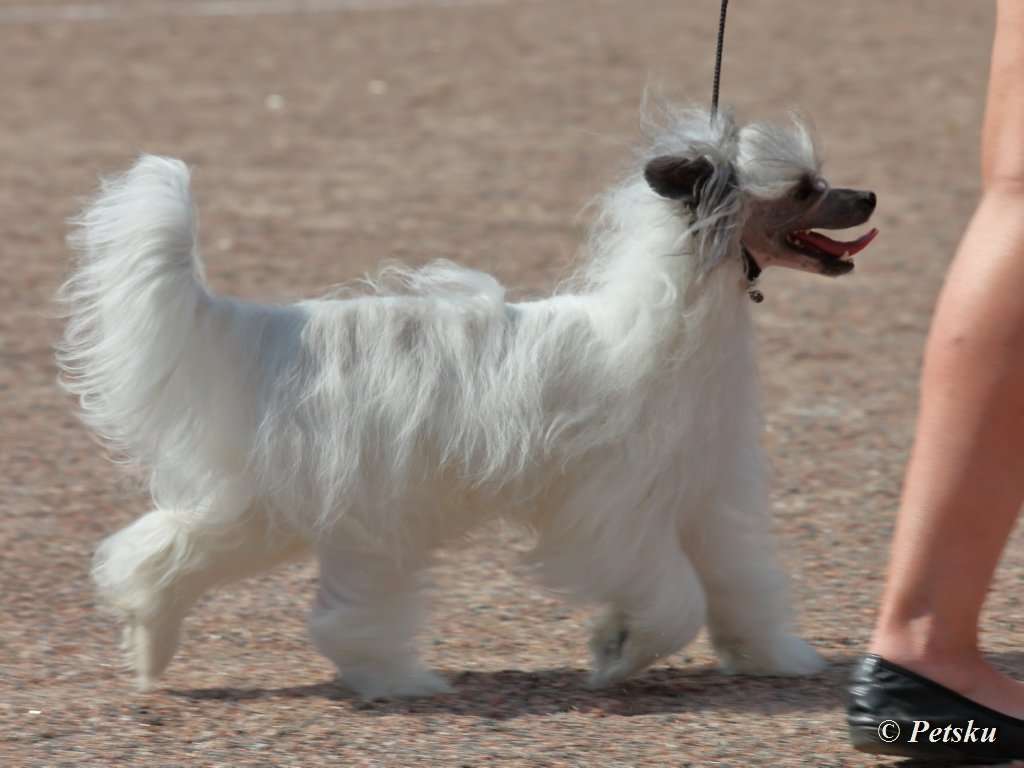 Zodellin History Maker