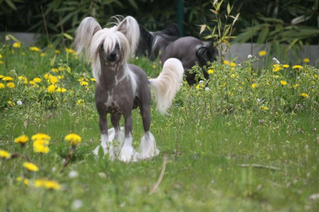 Moon Harbour Iron Man