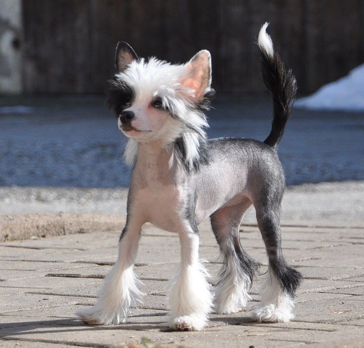 Beauty Makes of Magic Runique