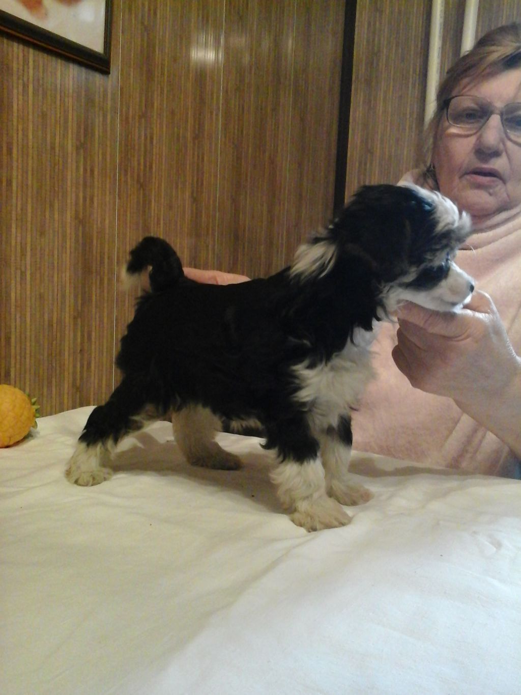 Vellar Pljus Mirabel