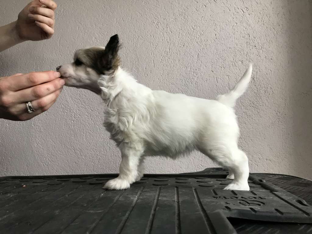 Moelmo's You And Me Until Eternity