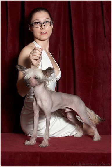 Luchik Solntsa iz Jablonevogo Sada