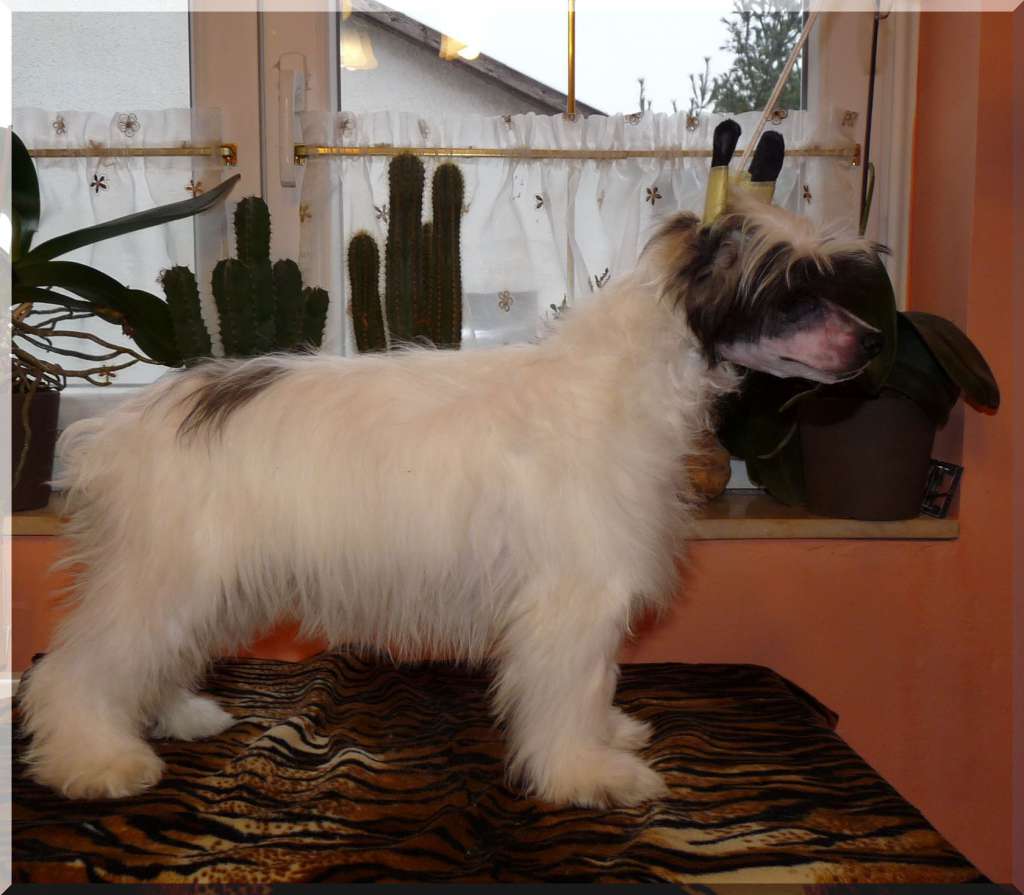 Casper Black&White Border