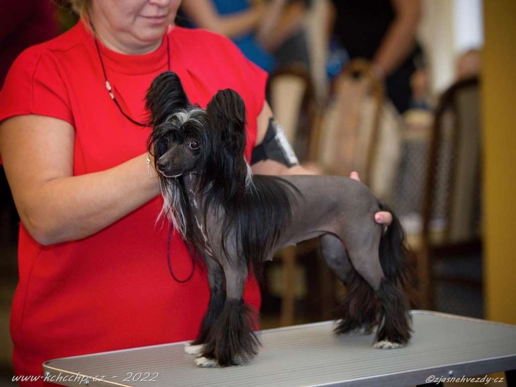 Chilli Winning Smile