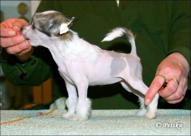 Zhannel's Tutti-Frutti