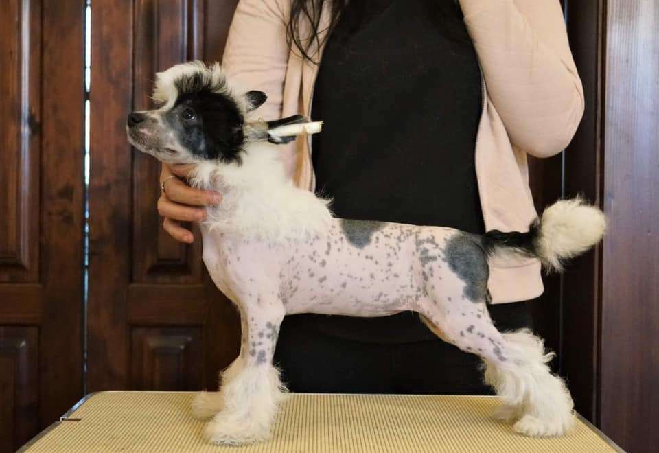 Im in love Z Valdorfskych lesu