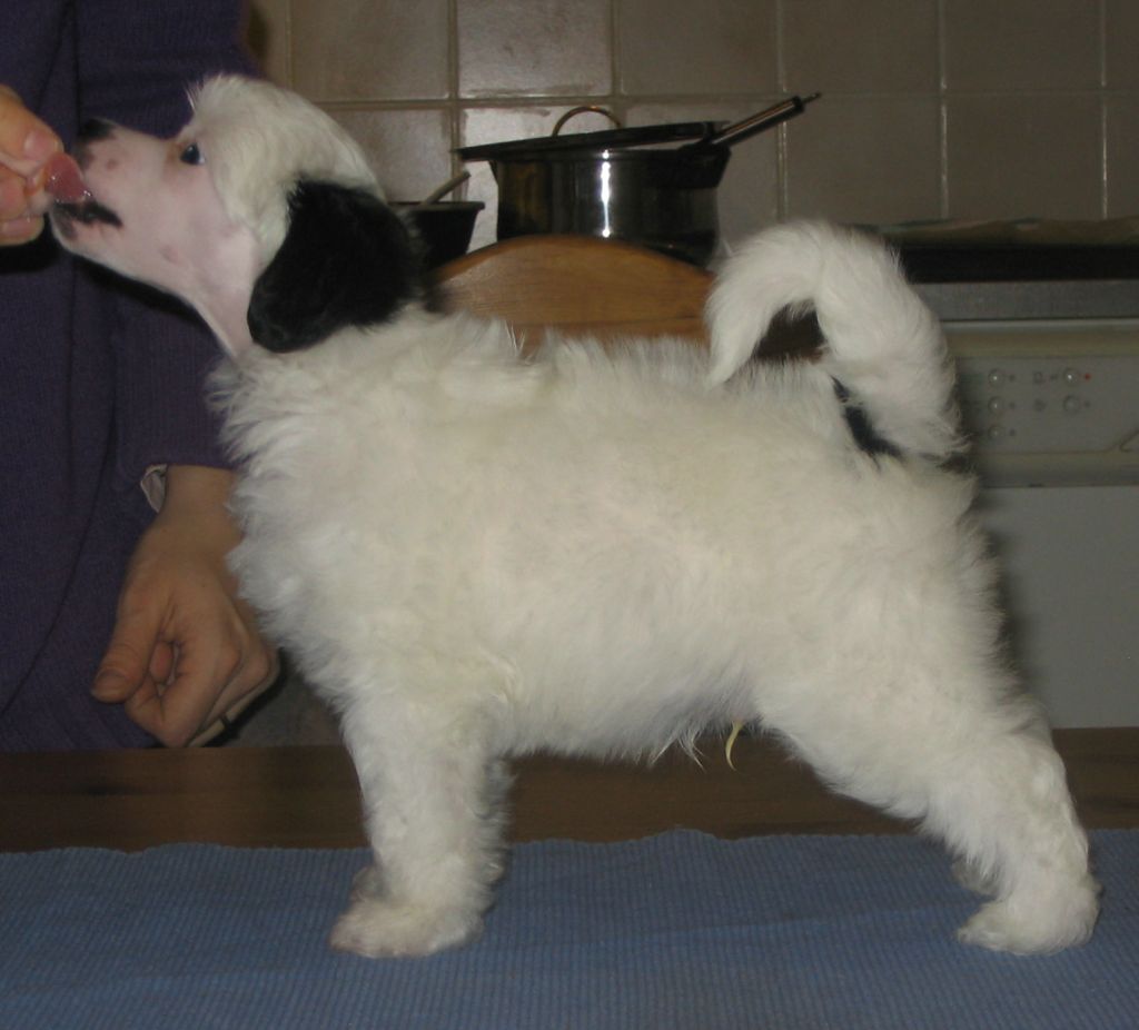 Kiikunkaakun Lucky Luck