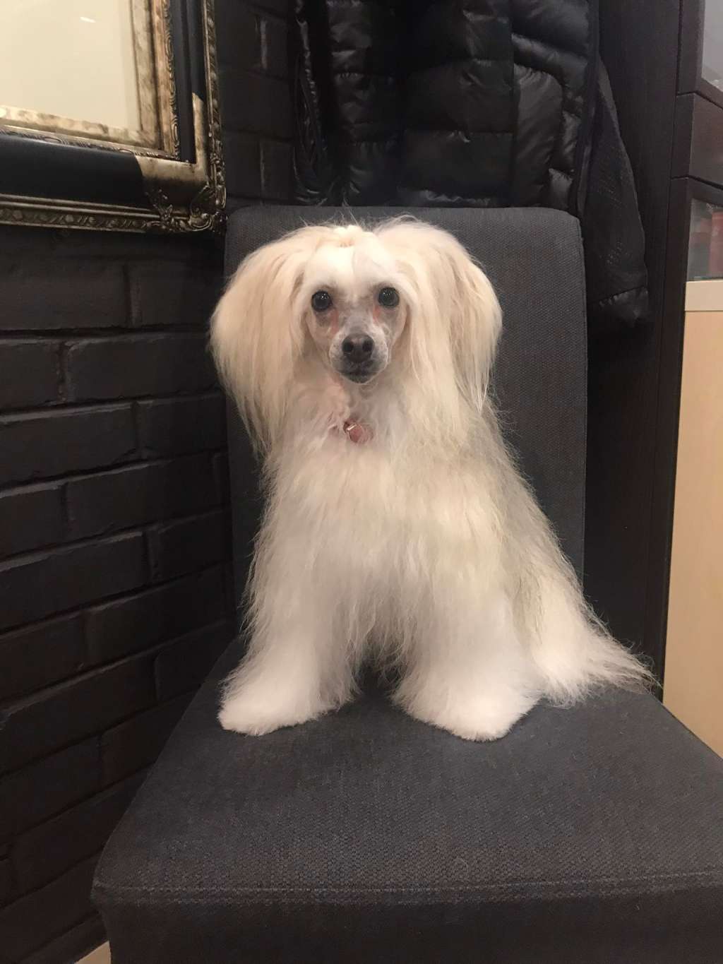 Il était Une Fois Super J'amy