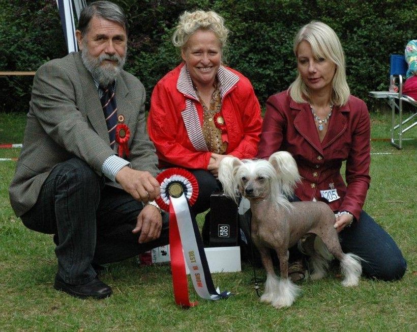 Eugenios Fly Me to the Moon