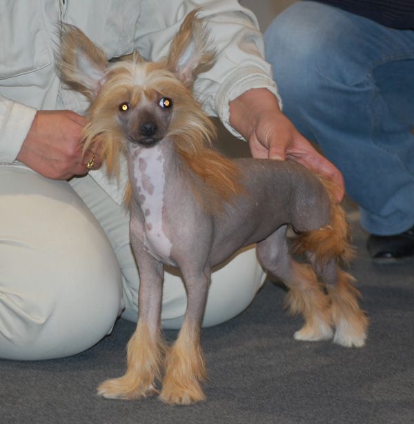 Alvine Band Chezetta Paier