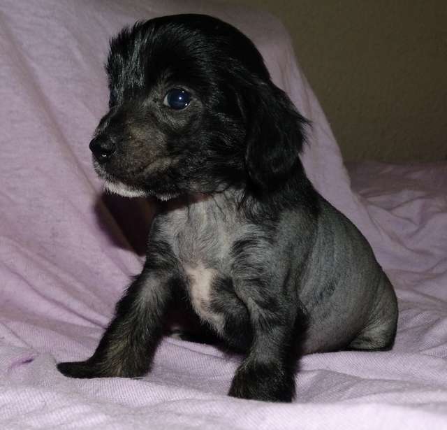 Forseti's Kanye West