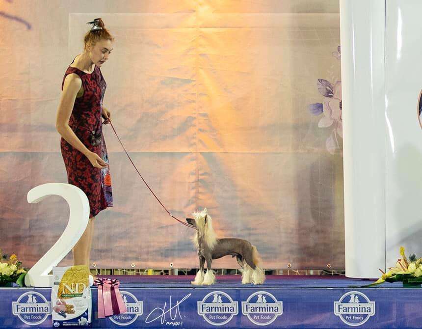 Multi Ch. Dakota Rose Question Of Faith