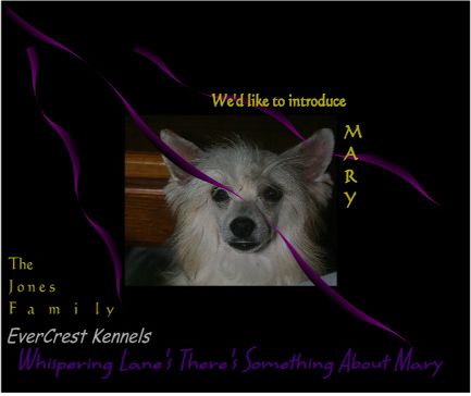 Whispering Lane There's Something about Mary  