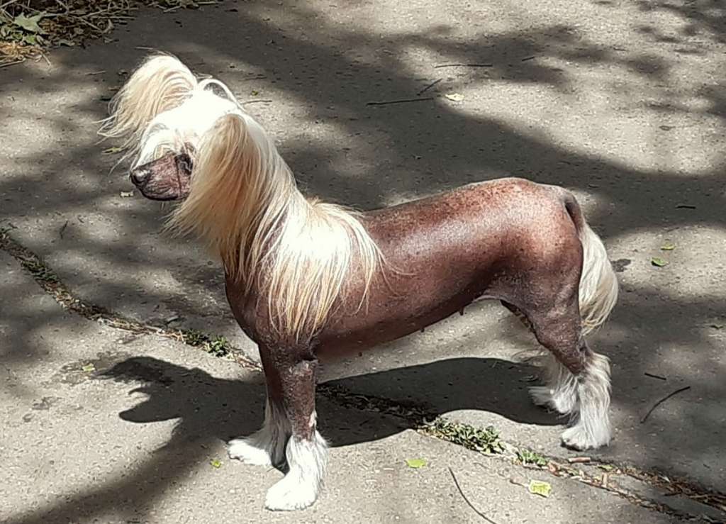 Anne Marii   Mikeilon