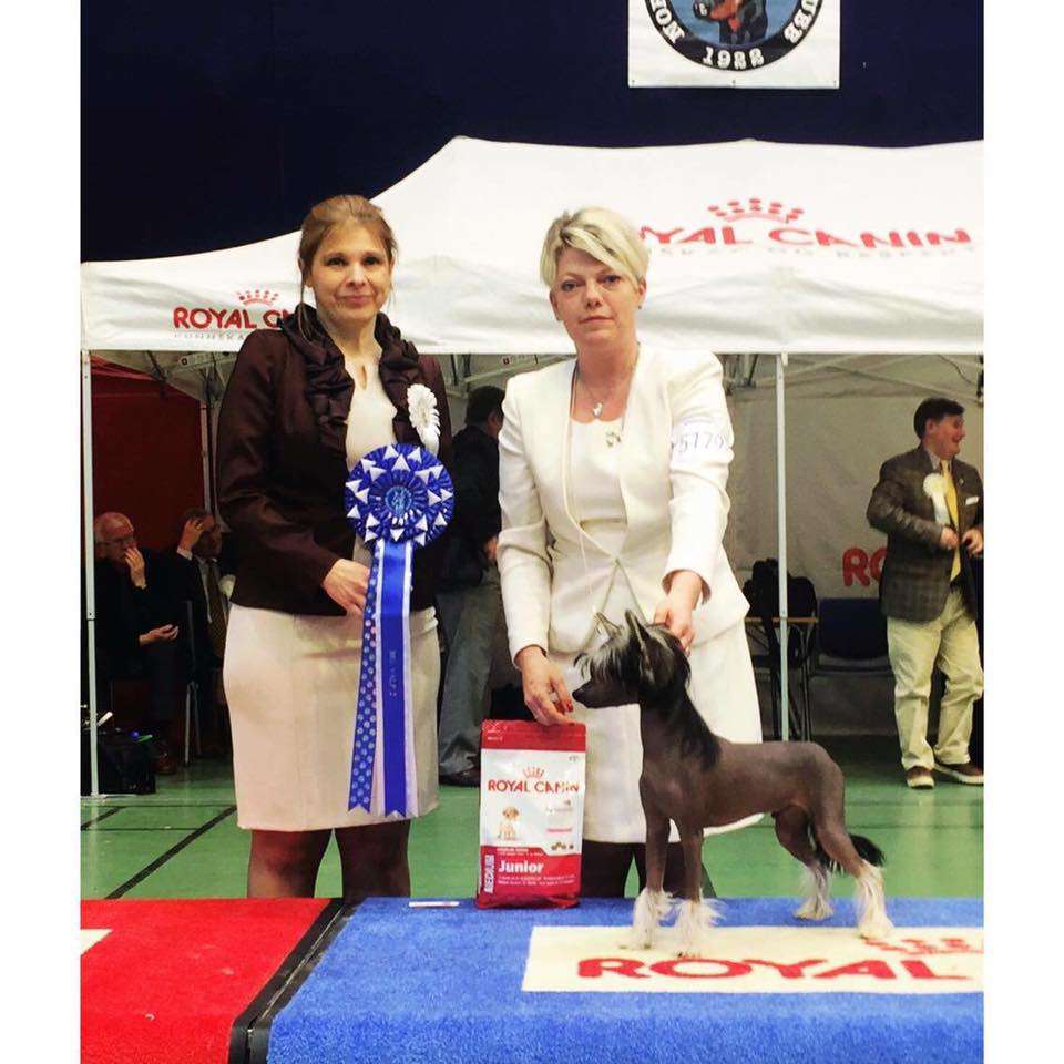 Zanevi's In Dah Ring