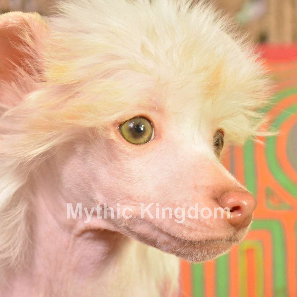 Mythic Legend Of Zelda From Locus