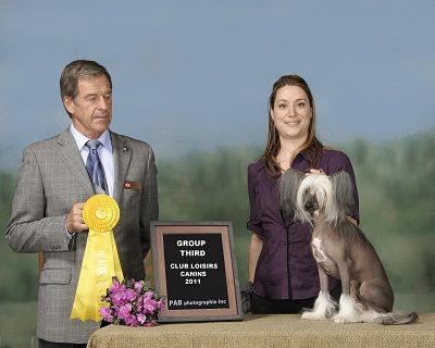 Kaunotar Enjoy The Dream