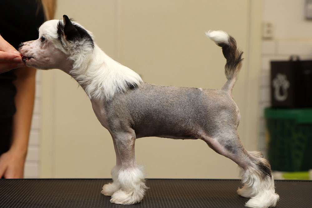 Tinted's It Was Inevitable