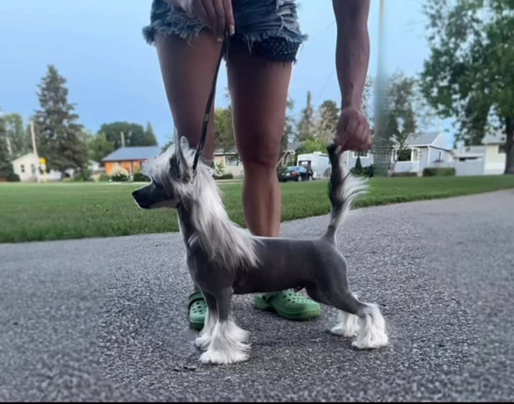 Taja Stone Cold Sobare