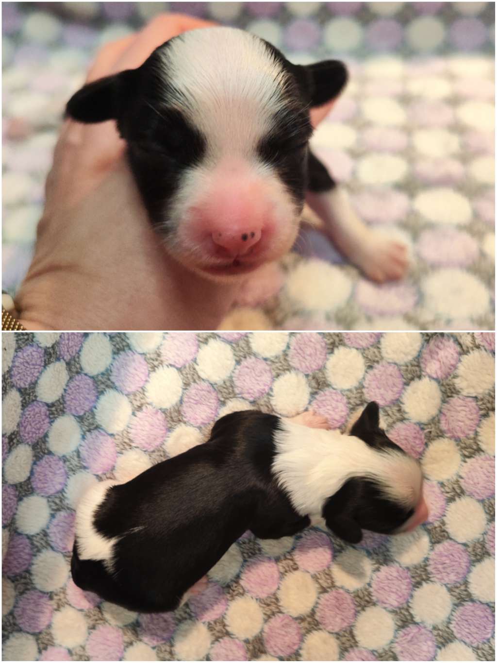 Naked Stars Dress Like It's Haute Couture