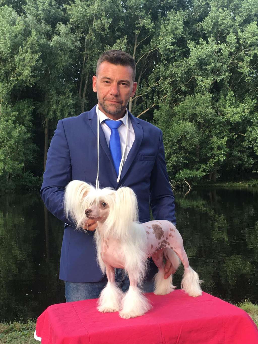 Incredible Me  von Shinbashi