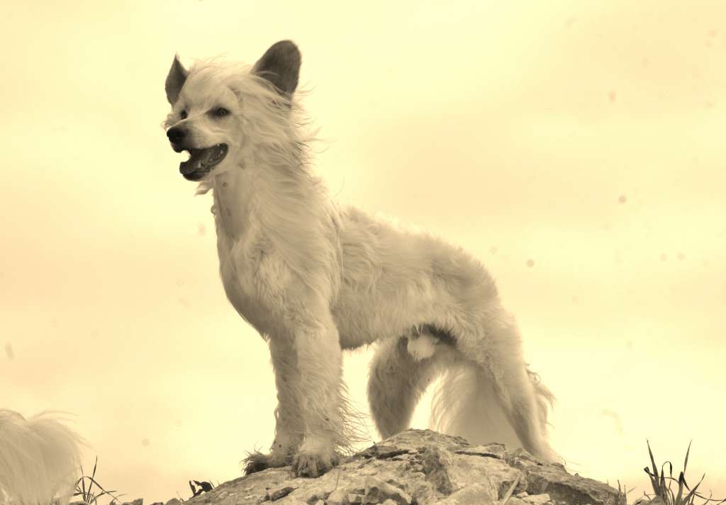 Magical Sunset of Blue Champagne