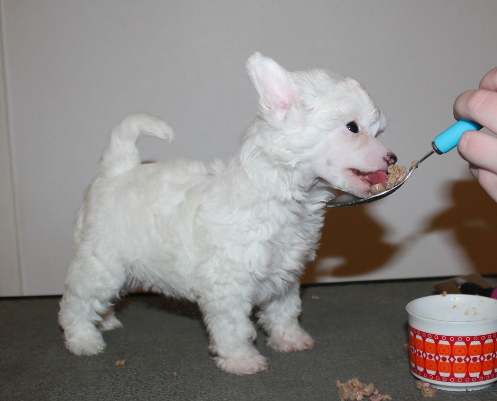 Laronja's Supernatural