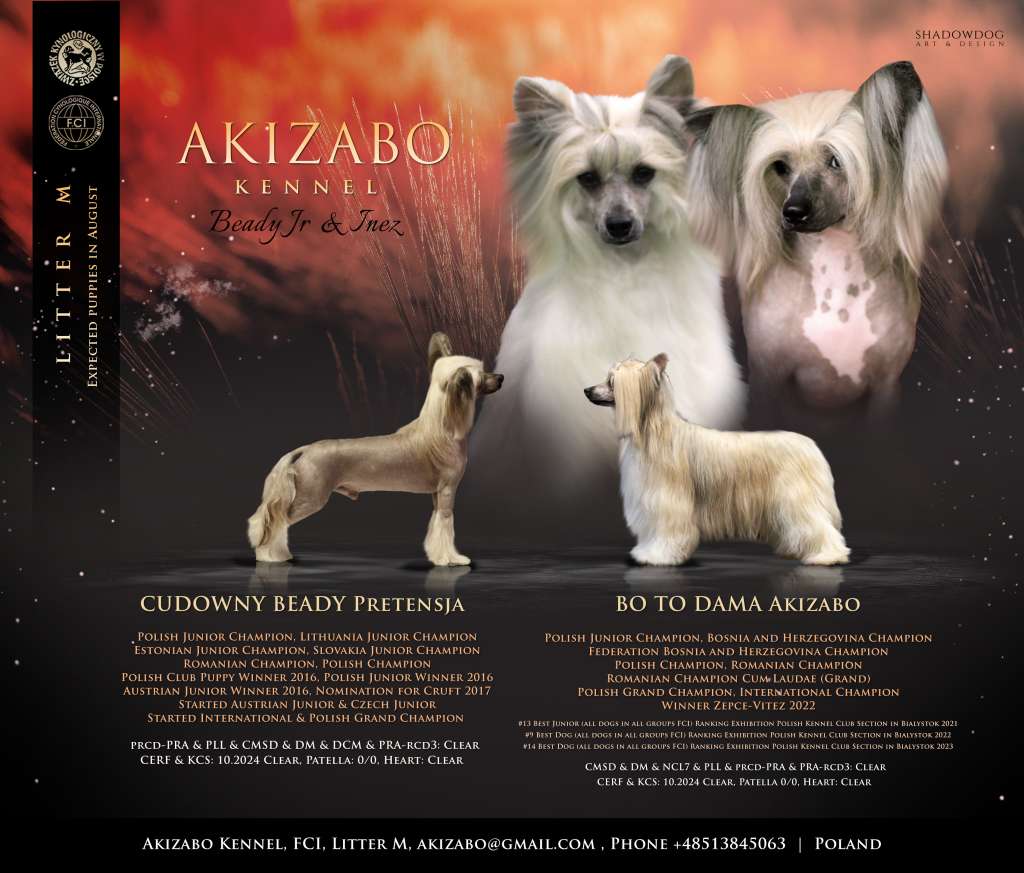 Mam Dzisiaj Szczescie Akizabo