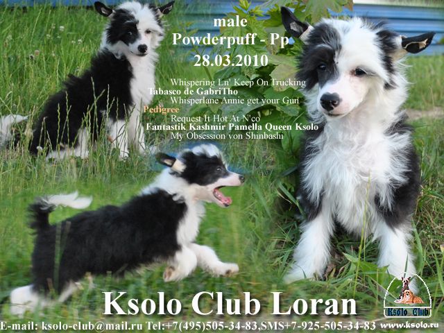Ksolo Club Loran