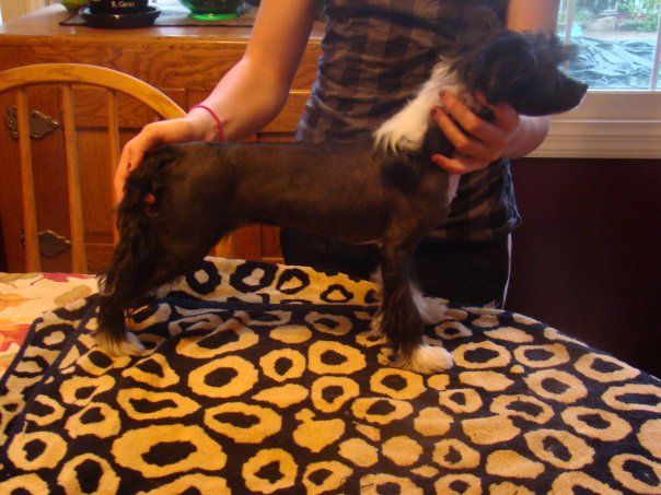 Exquisitely Yours N'CO